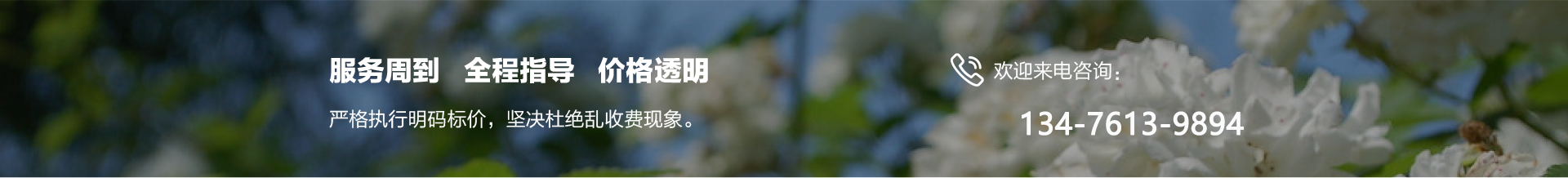 欢迎来电咨询